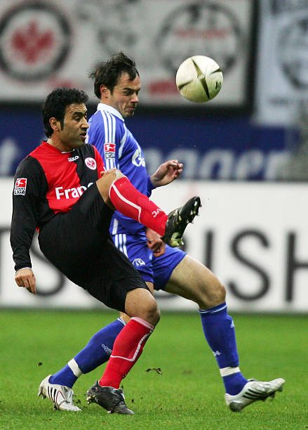 应可以看出 应可以看出